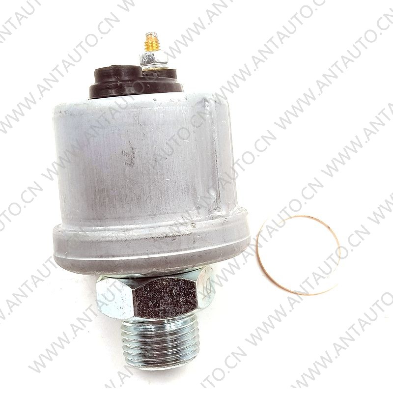 Другие датчики/ДАТЧИК ГРУЗОВИКА